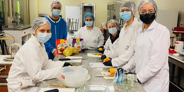 Estudiantes tadeístas crean suplemento que contribuye a mejorar el estado nutricional  de las abejas en Colombia