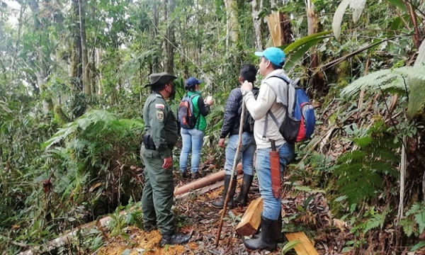 Autoridades intervienen contra tala de bosque en la reserva Miraflores, corregimiento de Bruselas