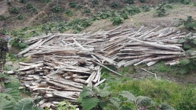 Incautan postes de madera de roble y carbón en zona de reserva de Pitalito
